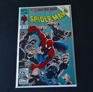 Spider-Man #29